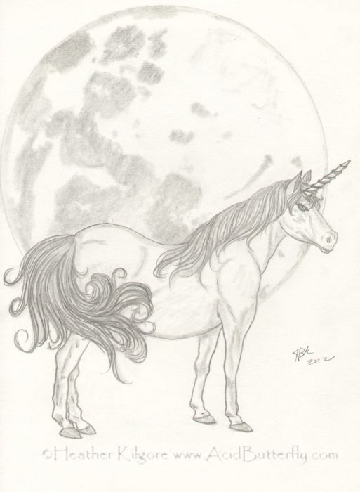Unicorn and the Moon by Heather Kilgore